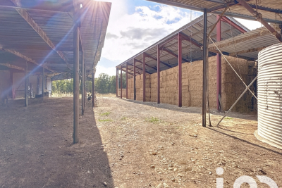 Maison à vendre hectares agricole 