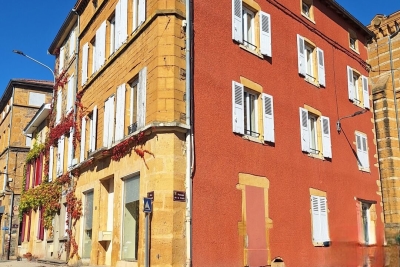 Bien à vendre à BESSENAY   - 300 m² 