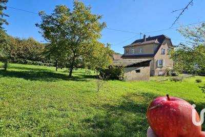 Maison à vendre à WINGEN SUR MODER Orangerie Est - 7 pièces - 143 m² 