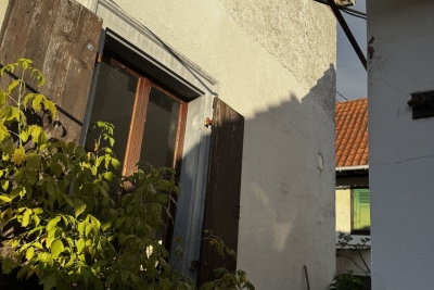 Maison à vendre à BRUMATH Orangerie Est - 5 pièces - 121 m² 