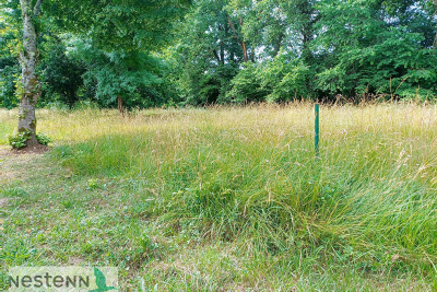 terrain &agrave; vendre &agrave; MEDIS   - 3223 m&sup2; 