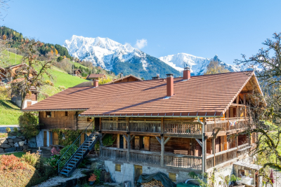 Maison &agrave; vendre &agrave; immobilier MANIGOD  - 15 pi&egrave;ces - 460 m&sup2; 