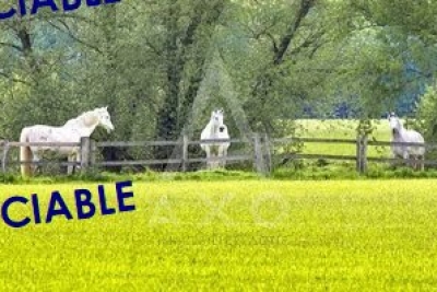 Maison à vendre à VILLEMER  - 5 pièces - 240 m² 