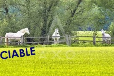 Maison à vendre à VILLEMER  - 7 pièces - 280 m² 