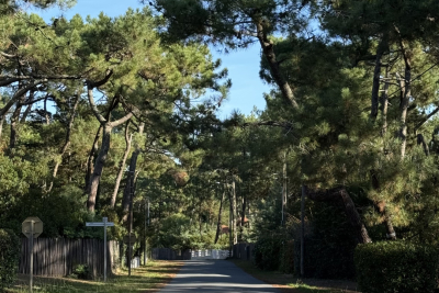 Maison à vendre à CAP-FERRET  - 5 pièces - 140 m² 