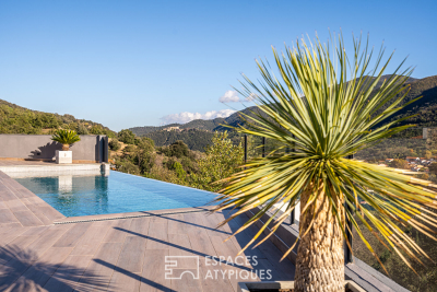 Maison à vendre à CÉRET  - 7 pièces - 260 m² 