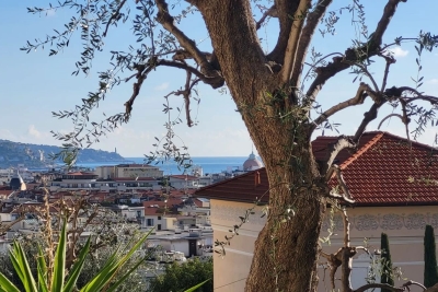 Appartement à vendre appartement terrasse baumettes nice