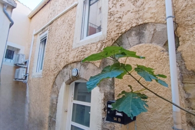 Appartement à vendre à ROUJAN  - 3 pièces - 80 m² 