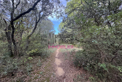 terrain à vendre chemin vergers 