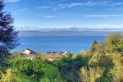 Maison &agrave; vendre &agrave; PUBLIER  - 6 pi&egrave;ces - 278 m&sup2; 