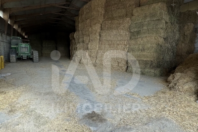 Maison à vendre à MEJANNES-LES-ALES  - 1 pièces - 595 m² 