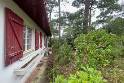 Maison à vendre à ARCACHON  - 4 pièces - 80 m² 