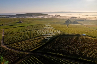 Maison à vendre à LANTIGNIE    