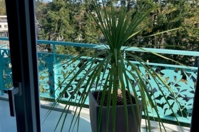 Appartement à vendre à ORVAULT  - 4 pièces - 94 m² 