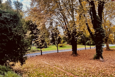 Appartement à vendre à GRENOBLE  - 3 pièces - 59 m² 