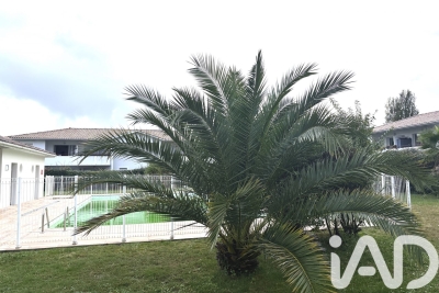 Appartement à vendre à LA TESTE-DE-BUCH  - 2 pièces - 42 m² 