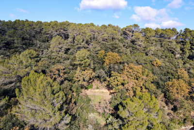 terrain à vendre à immobilier SERVIERS-ET-LABAUME   - 7000 m² 