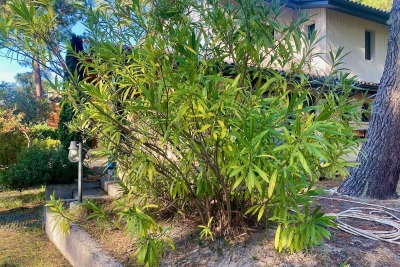 Maison à vendre à LE CANON  - 9 pièces - 165 m² 