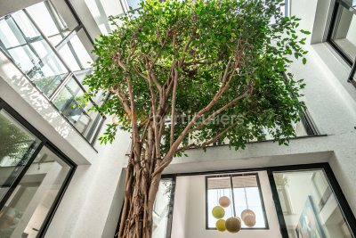 Maison &agrave; vendre &agrave; ARCANGUES  - 7 pi&egrave;ces - 310 m&sup2; 