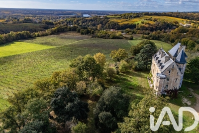 Maison à vendre à VILLENAVE-DE-RIONS  - 18 pièces - 890 m² 