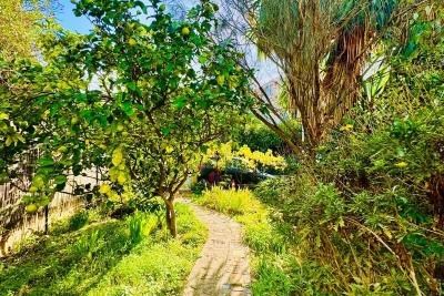 Appartement à vendre à VALLAURIS  - 3 pièces - 79 m² 