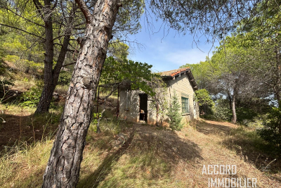 terrain à vendre cabanon agricole