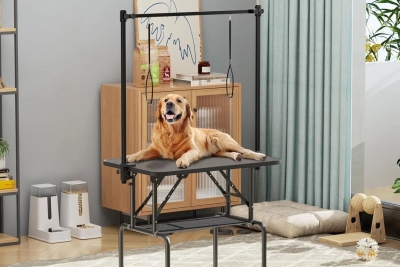 Commerce à vendre moins de 100 000 euro 