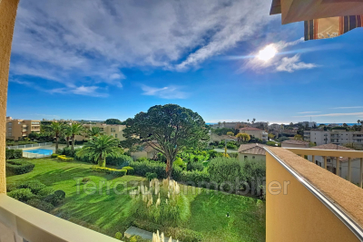 Apartment for sale in GOLFE JUAN  - 2 rooms - 45 m² 