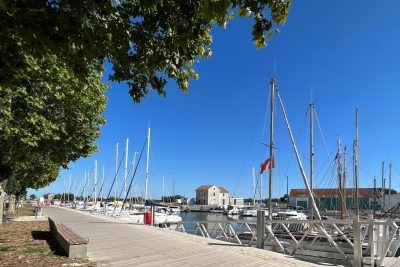 Commerce &agrave; vendre &agrave; LA TREMBLADE  - 7 pi&egrave;ces - 129 m&sup2; 