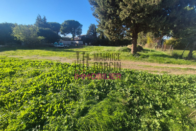 terrain à vendre à immobilier CHEVAL BLANC   - 580 m² 