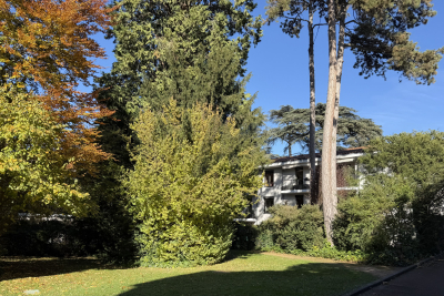 Appartement à vendre à ÉCULLY  - 2 pièces - 50 m² 