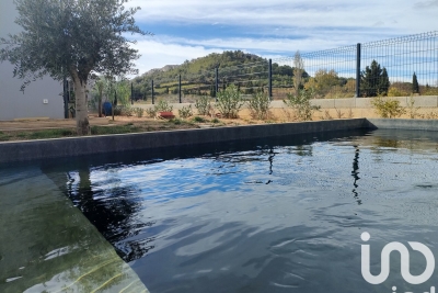 Maison à vendre terrain roussillon