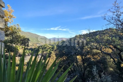 Maison à vendre à NYONS  - 8 pièces - 220 m² 