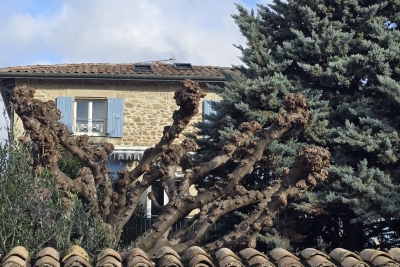 Maison à vendre à ROMANS-SUR-ISÈRE  - 3 pièces - 84 m² 