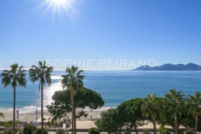 Apartment for sale alpes maritimes 