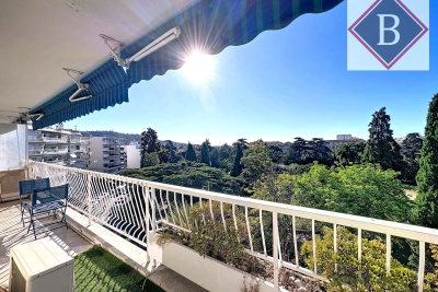 Appartement &agrave; vendre balcon ou terrasse cannes 