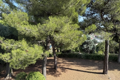 Appartement &agrave; vendre &agrave; VILLENEUVE-LOUBET  - 3 pi&egrave;ces - 97 m&sup2; 