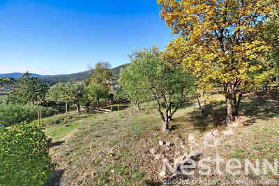 terrain &agrave; vendre &agrave; CALLAS   - 6551 m&sup2; 