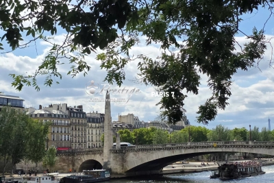 Appartement &agrave; vendre monument historique paris 