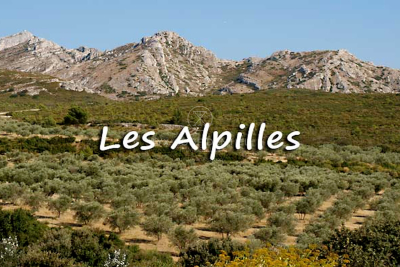 Appartement &agrave; vendre &agrave; ST-RÉMY-DE-PROVENCE Vaufreges-Leon Lachamp - 3 pi&egrave;ces - 68 m&sup2; 