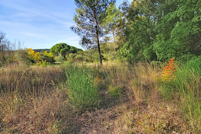 terrain à vendre grand terrain draguignan