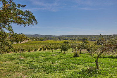 Maison à vendre à ROGNES  - 17 pièces - 570 m² 