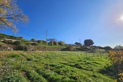 terrain &agrave; vendre &agrave; ST-LAURENT-DU-VAR   - 3033 m&sup2; 