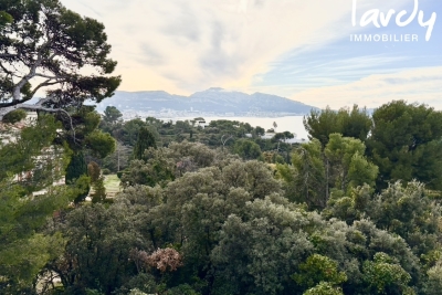 Maison &agrave; vendre &agrave; MARSEILLE 7EME Vaufreges-Leon Lachamp - 10 pi&egrave;ces - 480 m&sup2; 