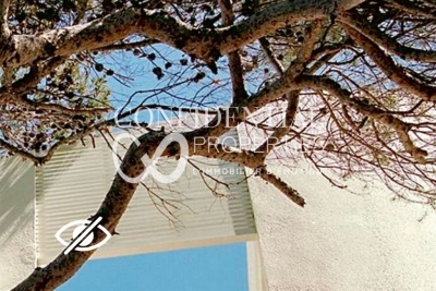 Maison &agrave; vendre maison en pierre avec vue dominante 