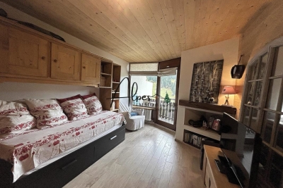 Appartement &agrave; vendre &agrave; LA CLUSAZ  - 1 pi&egrave;ces - 25 m&sup2; 