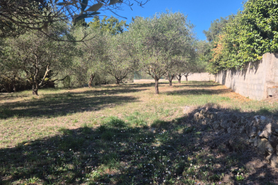 terrain &agrave; vendre &agrave; MONTAUROUX   - 1861 m&sup2; 