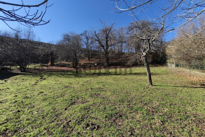 terrain &agrave; vendre annee 40 