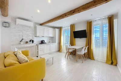 Appartement &agrave; vendre festival de cannes 