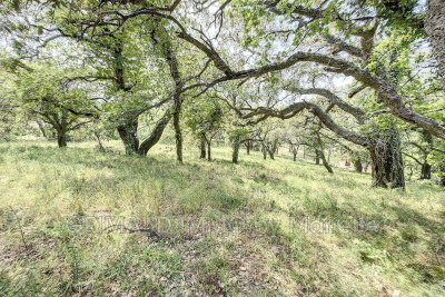 Building plot for sale in GRIMAUD   - 6350 m&sup2; 